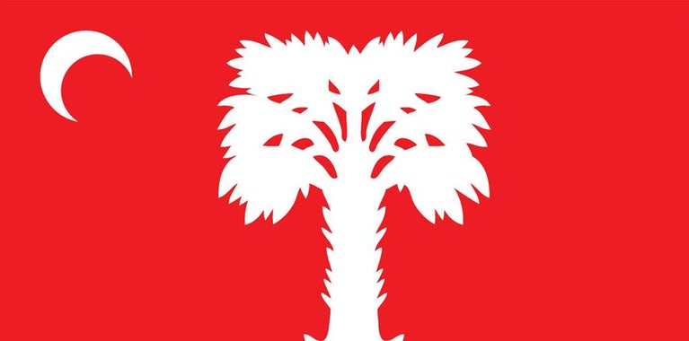 Palmetto Tree & Moon Logo - 1024x614 - jpeg Palmetto Tree And Crescent Moon